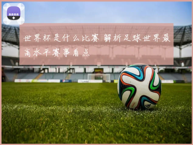 世界杯是什么比赛 解析足球世界最高水平赛事看点