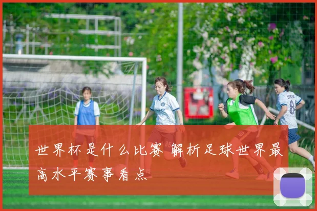 世界杯是什么比赛 解析足球世界最高水平赛事看点