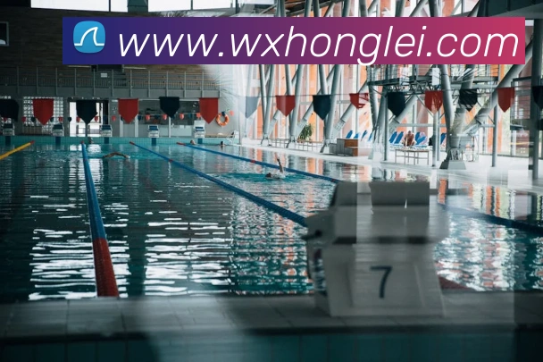 mksports官网登录入口平台生态图